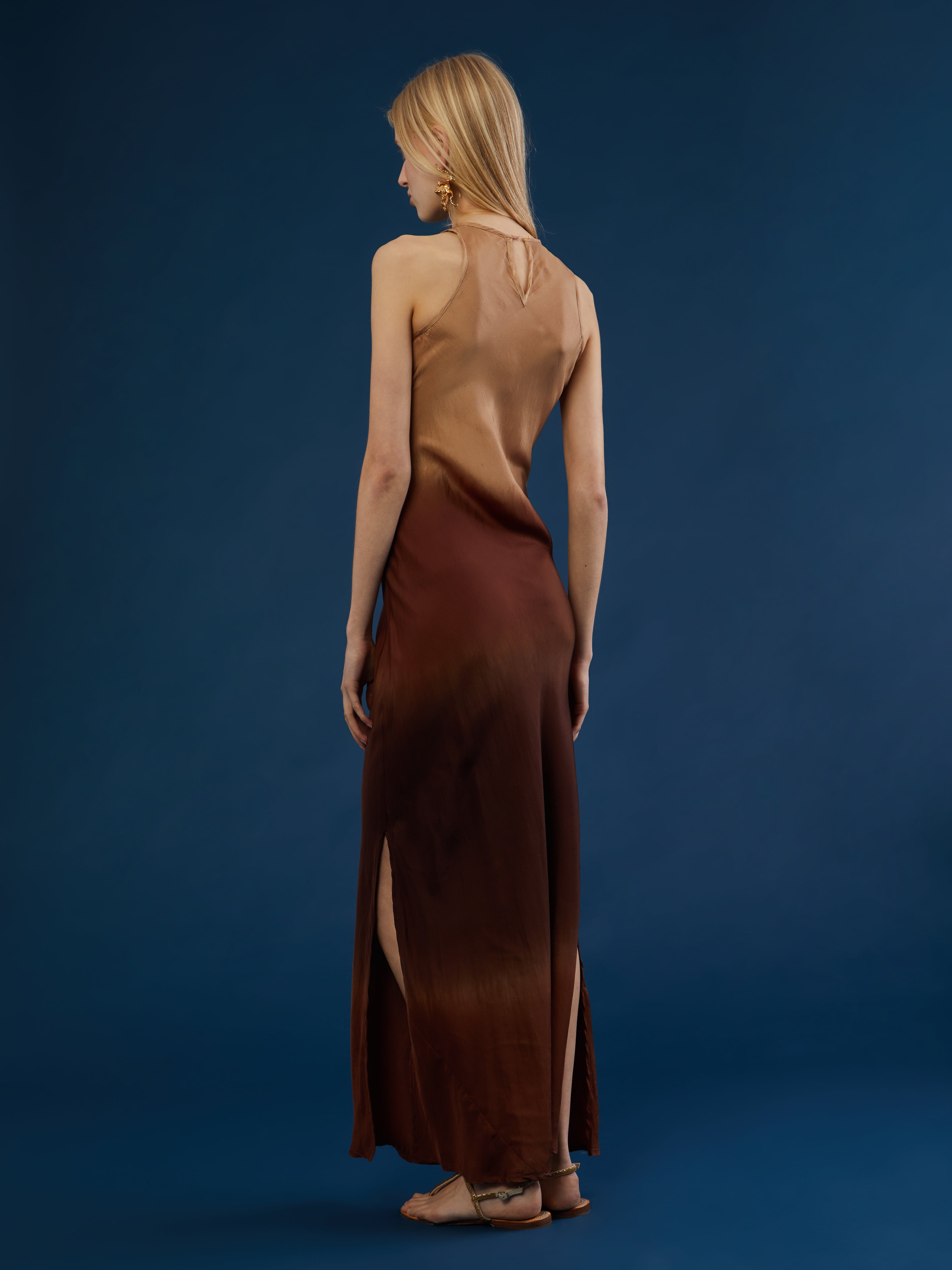 Indian Ella silk long dress