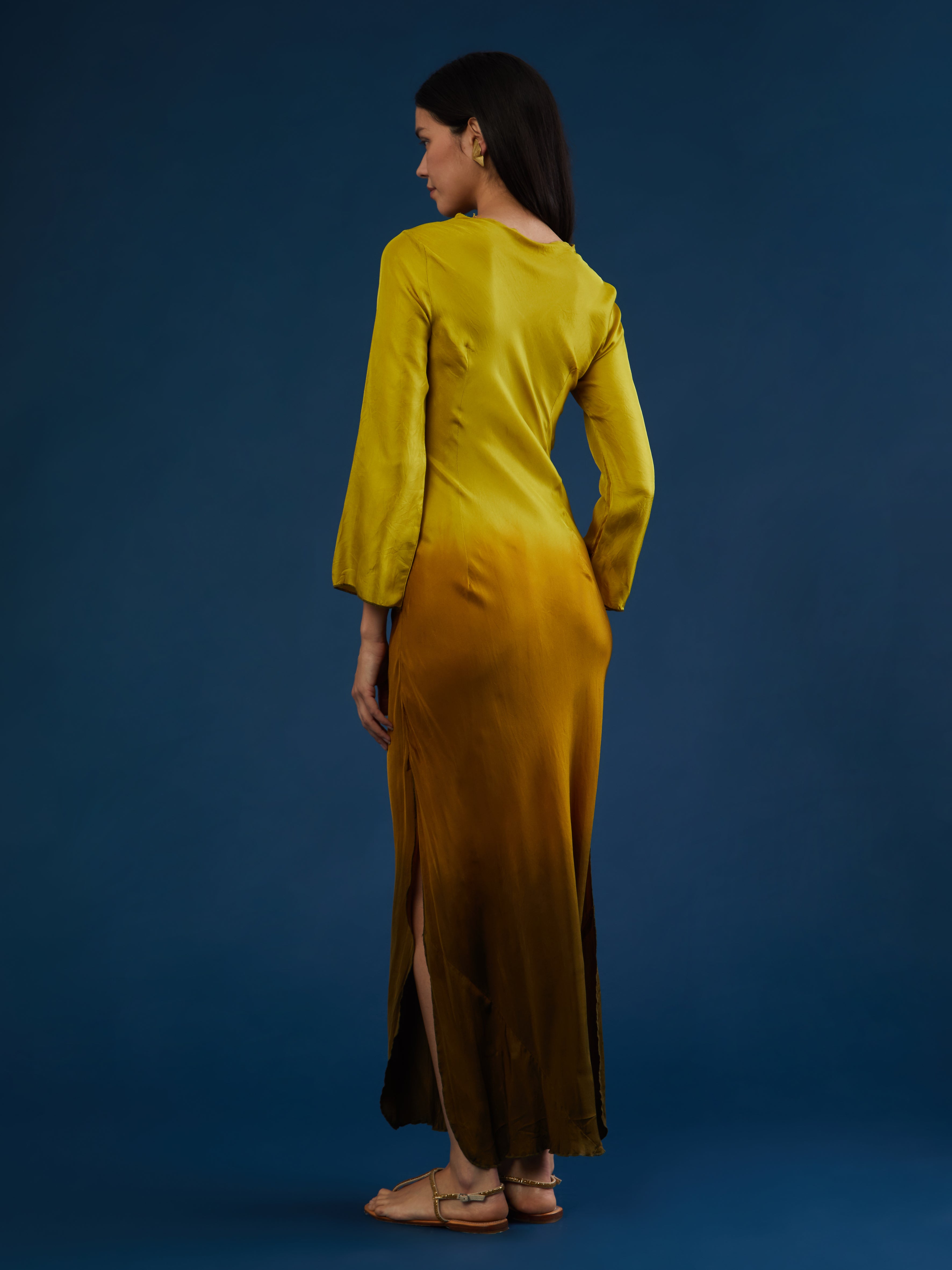 Indian Didi silk long dress