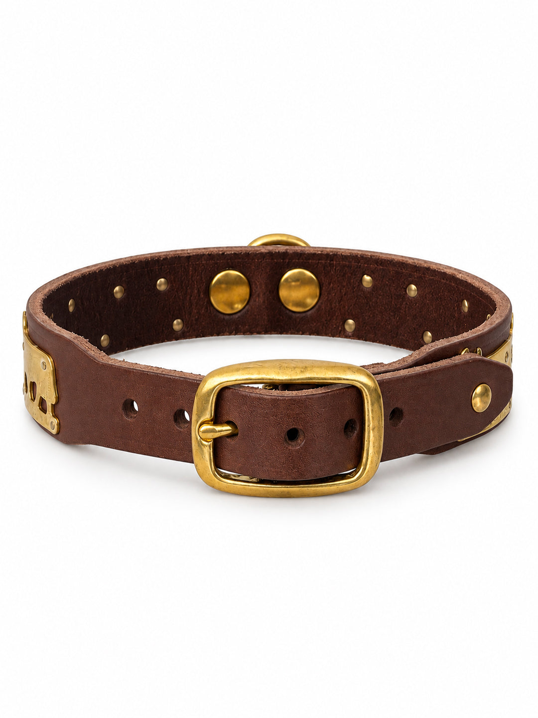 A dark brown leather collar with gold-tone metal hardware, including a rectangular buckle, rivets, and studs, displayed on a clean white background. The Alpine collar, Appenzeller collar, made in Switzerland, handmade, mountain collar, leather belt, cintura di pelle, cintura con le mucche, stelle alpine, cintura svizzera, cintura tirolese, cintura ampezzana, traditional belt, cow belt, kids belt, artisanal kids belt, artisanal belt, cinture da bambini, cinture artigianali.